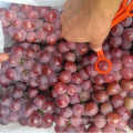 Dunhuang fresh red globe grapes high quality red globe grape strong quality red grapes for sale